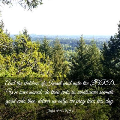 Picture 03 - Judges 10:15 KJV - And the children of Israel said unto the LORD, We - Bible Verse Picture