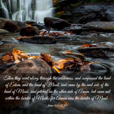 Picture 03 - Judges 11:18 KJV - Then they went along through the wilderness, and - Bible Verse Picture