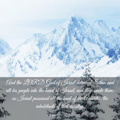 Picture 03 - Judges 11:21 KJV - And the LORD God of Israel delivered Sihon and - Bible Verse Picture