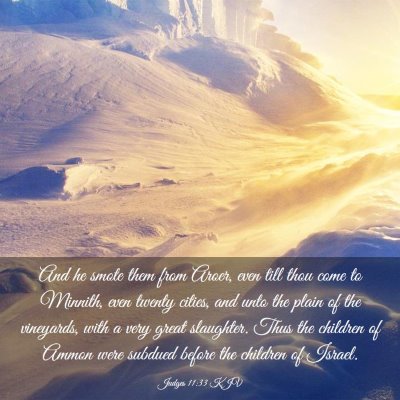 Picture 03 - Judges 11:33 KJV - And he smote them from Aroer, even till thou come - Bible Verse Picture