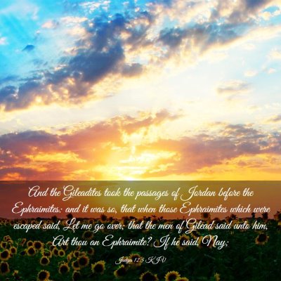 Picture 03 - Judges 12:5 KJV - And the Gileadites took the passages of Jordan - Bible Verse Picture