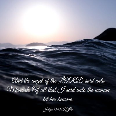 Picture 03 - Judges 13:13 KJV - And the angel of the LORD said unto Manoah, Of - Bible Verse Picture