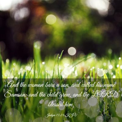 Picture 03 - Judges 13:24 KJV - And the woman bare a son, and called his name - Bible Verse Picture