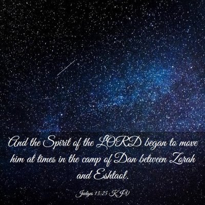 Picture 03 - Judges 13:25 KJV - And the Spirit of the LORD began to move him at - Bible Verse Picture