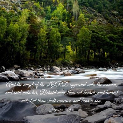 Picture 03 - Judges 13:3 KJV - And the angel of the LORD appeared unto the - Bible Verse Picture