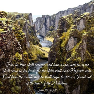Picture 03 - Judges 13:5 KJV - For, lo, thou shalt conceive, and bear a son; and - Bible Verse Picture
