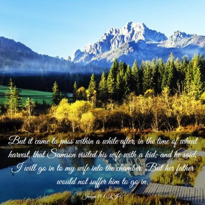 Picture 03 - Judges 15:1 KJV - But it came to pass within a while after, in the - Bible Verse Picture