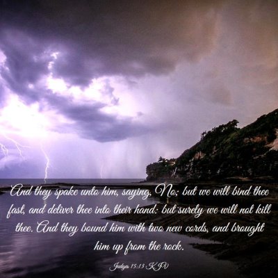 Picture 03 - Judges 15:13 KJV - And they spake unto him, saying, No; but we will - Bible Verse Picture