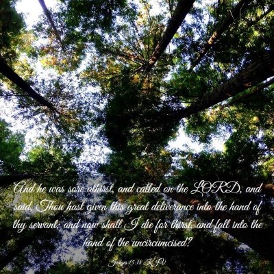 Picture 03 - Judges 15:18 KJV - And he was sore athirst, and called on the LORD, - Bible Verse Picture