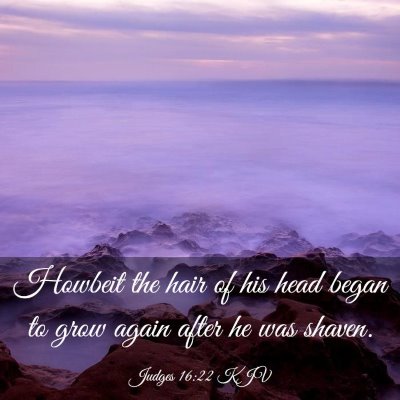 Picture 03 - Judges 16:22 KJV - Howbeit the hair of his head began to grow again - Bible Verse Picture