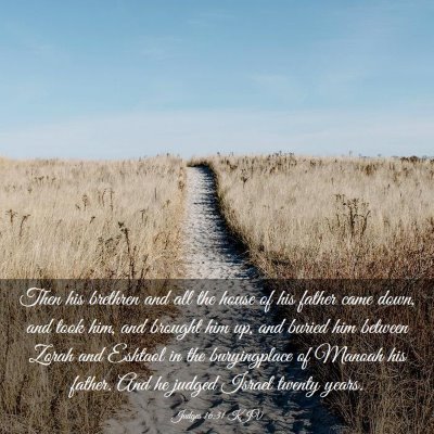 Picture 03 - Judges 16:31 KJV - Then his brethren and all the house of his father - Bible Verse Picture
