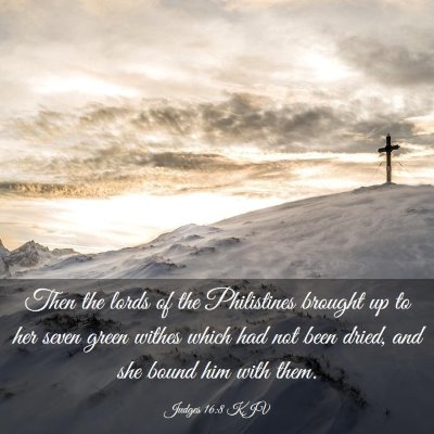 Picture 03 - Judges 16:8 KJV - Then the lords of the Philistines brought up to - Bible Verse Picture