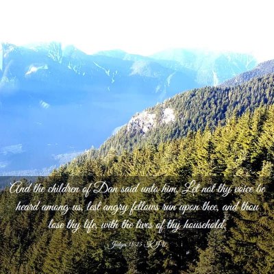 Picture 03 - Judges 18:25 KJV - And the children of Dan said unto him, Let not - Bible Verse Picture