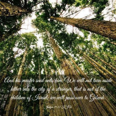 Picture 03 - Judges 19:12 KJV - And his master said unto him, We will not turn - Bible Verse Picture