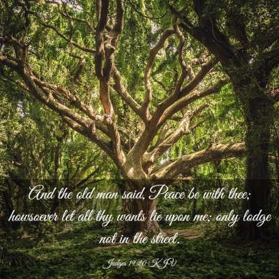 Picture 03 - Judges 19:20 KJV - And the old man said, Peace be with thee; - Bible Verse Picture