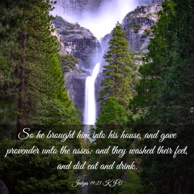 Picture 03 - Judges 19:21 KJV - So he brought him into his house, and gave - Bible Verse Picture