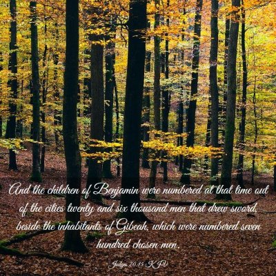 Picture 03 - Judges 20:15 KJV - And the children of Benjamin were numbered at - Bible Verse Picture