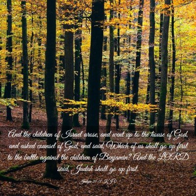 Picture 03 - Judges 20:18 KJV - And the children of Israel arose, and went up to - Bible Verse Picture