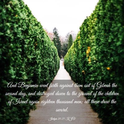 Picture 03 - Judges 20:25 KJV - And Benjamin went forth against them out of - Bible Verse Picture