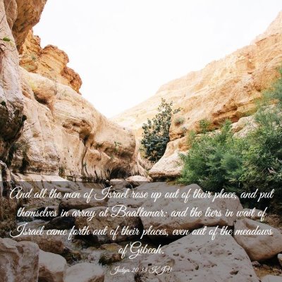 Picture 03 - Judges 20:33 KJV - And all the men of Israel rose up out of their - Bible Verse Picture