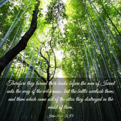 Picture 03 - Judges 20:42 KJV - Therefore they turned their backs before the men - Bible Verse Picture
