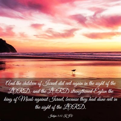 Picture 03 - Judges 3:12 KJV - And the children of Israel did evil again in the - Bible Verse Picture