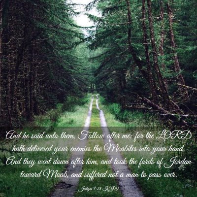 Picture 03 - Judges 3:28 KJV - And he said unto them, Follow after me: for the - Bible Verse Picture