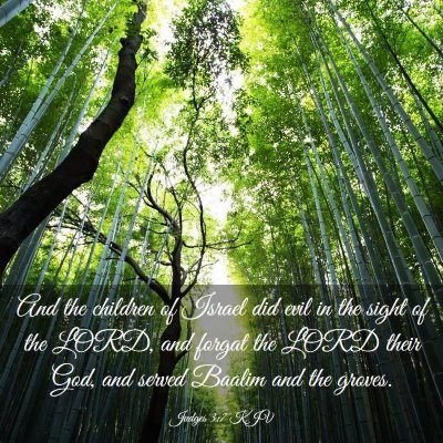 Picture 03 - Judges 3:7 KJV - And the children of Israel did evil in the sight - Bible Verse Picture