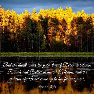 Picture 03 - Judges 4:5 KJV - And she dwelt under the palm tree of Deborah - Bible Verse Picture