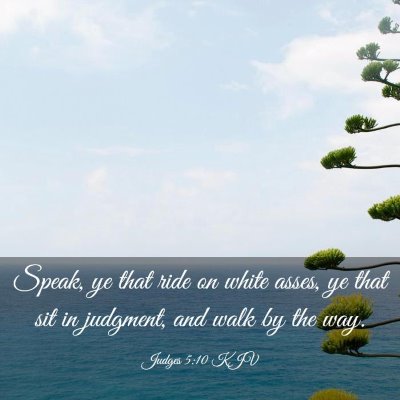 Picture 03 - Judges 5:10 KJV - Speak, ye that ride on white asses, ye that sit - Bible Verse Picture