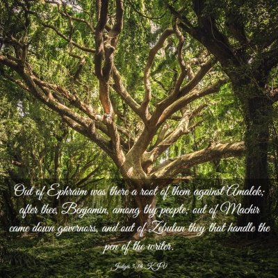 Picture 03 - Judges 5:14 KJV - Out of Ephraim was there a root of them against - Bible Verse Picture