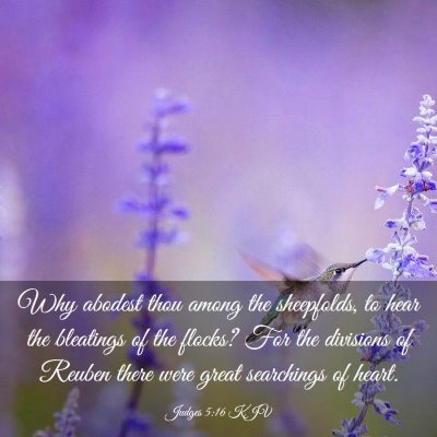 Picture 03 - Judges 5:16 KJV - Why abodest thou among the sheepfolds, to hear - Bible Verse Picture