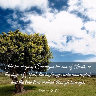 Picture 03 - Judges 5:6 KJV - In the days of Shamgar the son of Anath, in the - Bible Verse Picture
