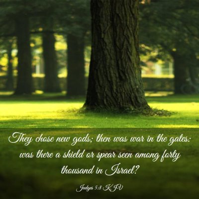 Picture 03 - Judges 5:8 KJV - They chose new gods; then was war in the gates: - Bible Verse Picture