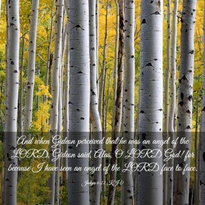 Picture 03 - Judges 6:22 KJV - And when Gideon perceived that he was an angel of - Bible Verse Picture