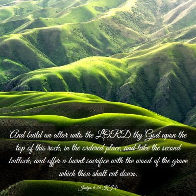Picture 03 - Judges 6:26 KJV - And build an altar unto the LORD thy God upon the - Bible Verse Picture