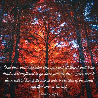 Picture 03 - Judges 7:11 KJV - And thou shalt hear what they say; and afterward - Bible Verse Picture