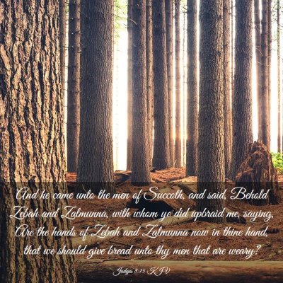 Picture 03 - Judges 8:15 KJV - And he came unto the men of Succoth, and said, - Bible Verse Picture
