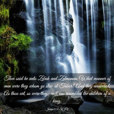 Picture 03 - Judges 8:18 KJV - Then said he unto Zebah and Zalmunna, What manner - Bible Verse Picture