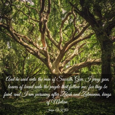 Picture 03 - Judges 8:5 KJV - And he said unto the men of Succoth, Give, I pray - Bible Verse Picture