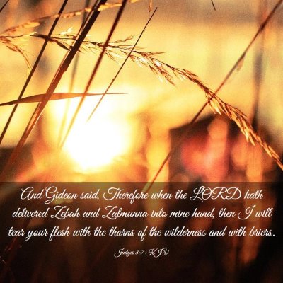 Picture 03 - Judges 8:7 KJV - And Gideon said, Therefore when the LORD hath - Bible Verse Picture