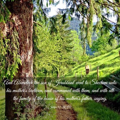 Picture 03 - Judges 9:1 KJV - And Abimelech the son of Jerubbaal went to - Bible Verse Picture