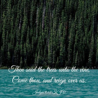 Picture 03 - Judges 9:12 KJV - Then said the trees unto the vine, Come thou, and - Bible Verse Picture