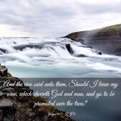 Picture 03 - Judges 9:13 KJV - And the vine said unto them, Should I leave my - Bible Verse Picture