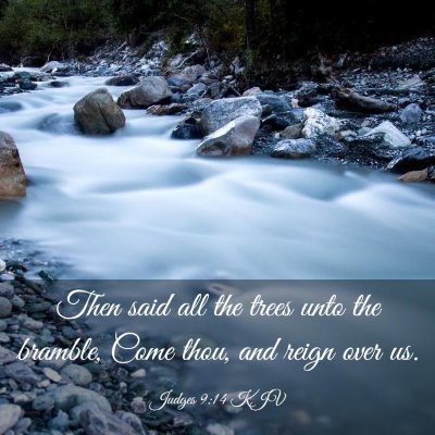 Picture 03 - Judges 9:14 KJV - Then said all the trees unto the bramble, Come - Bible Verse Picture