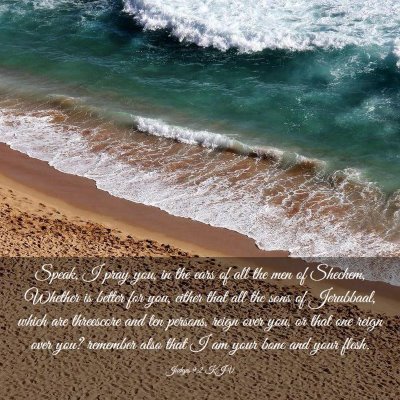 Picture 03 - Judges 9:2 KJV - Speak, I pray you, in the ears of all the men of - Bible Verse Picture