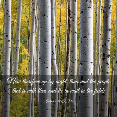 Picture 03 - Judges 9:32 KJV - Now therefore up by night, thou and the people - Bible Verse Picture