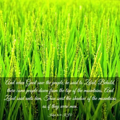 Picture 03 - Judges 9:36 KJV - And when Gaal saw the people, he said to Zebul, - Bible Verse Picture