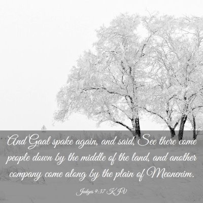 Picture 03 - Judges 9:37 KJV - And Gaal spake again, and said, See there come - Bible Verse Picture