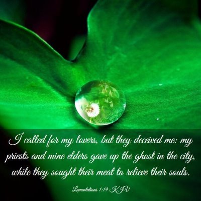 Picture 03 - Lamentations 1:19 KJV - I called for my lovers, but they deceived me: my - Bible Verse Picture